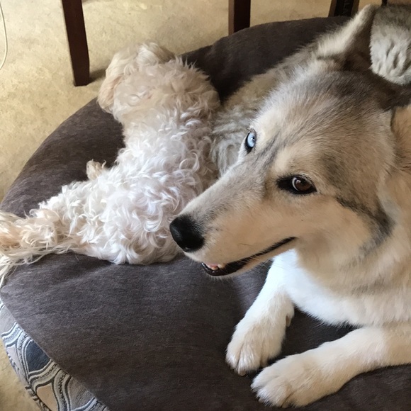 About Wildernessmags! ππ§‘π - Picture 5 of 5